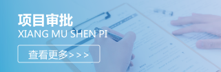 项目审批